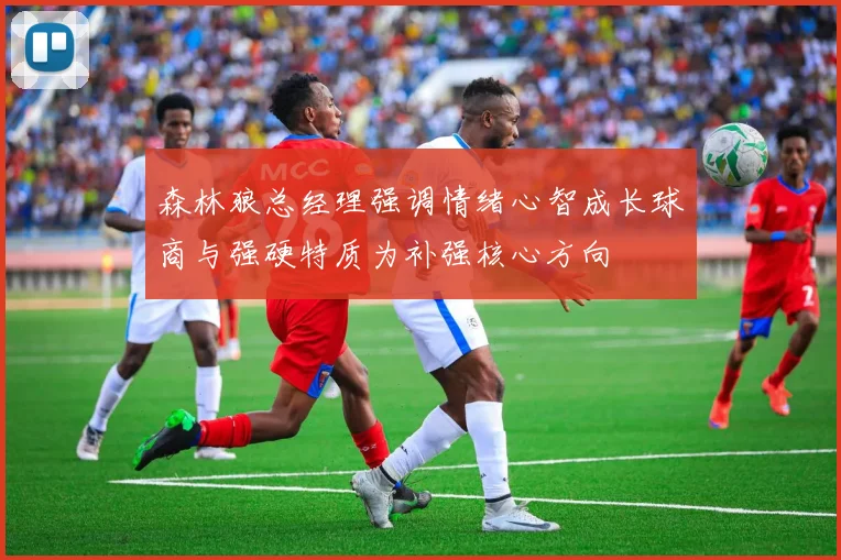 森林狼总经理强调情绪心智成长球商与强硬特质为补强核心方向