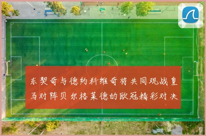 东契奇与德约科维奇将共同观战皇马对阵贝尔格莱德的欧冠精彩对决